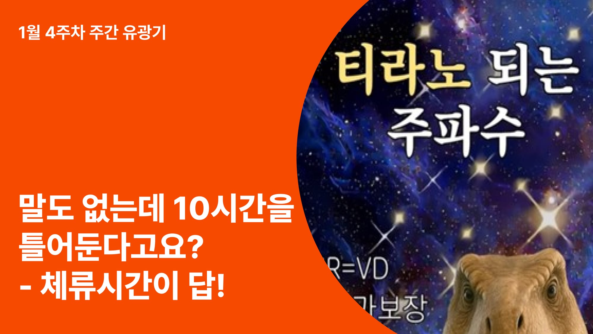 오늘의 인사이트 썸네일